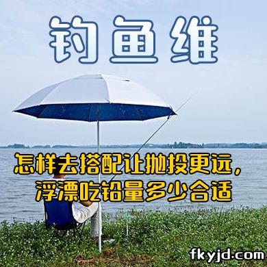 钓鱼维 怎样去搭配让抛投更远，浮漂吃铅量多少合适 [视频]