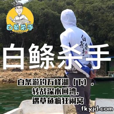 白条杀手 白条游钓万峰湖（下），转战深水回湾，遇草鱼疯狂闹窝