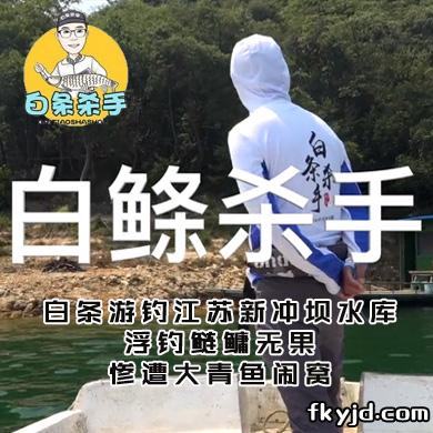 白条杀手 白条游钓江苏新冲坝水库，浮钓鲢鳙无果，惨遭大青鱼闹窝