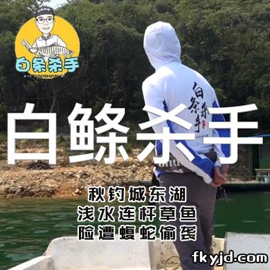 白条杀手 秋钓城东湖，浅水连杆草鱼，险遭蝮蛇偷袭