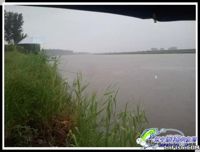 赏雨中美景垂钓到底-[鞍山钓友战报]