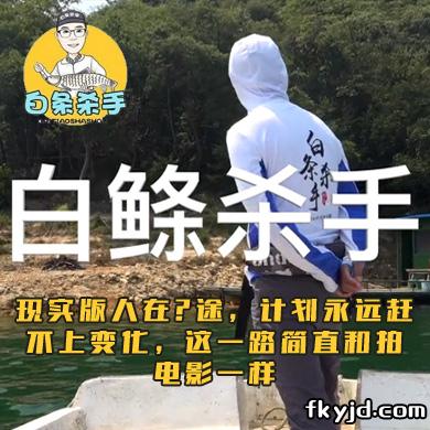 白条杀手 现实版人在囧途，计划永远赶不上变化，这一路简直和拍电影一样