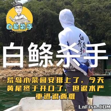 白条杀手 荒岛小菜园安排上了，今天黄尾终于开口了，但退水严重进退两难