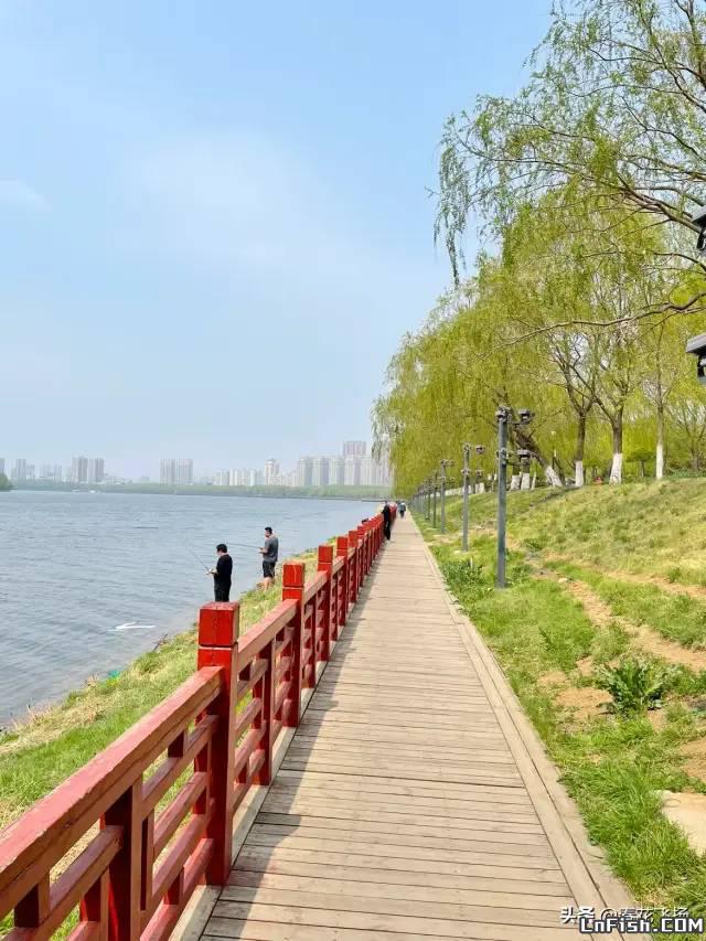 【盛京景色】沈阳浑河沈水湾公园