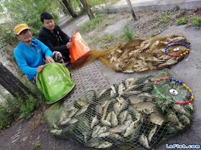 以沈阳为例最低气温开始正常偷驴会有几次好机会