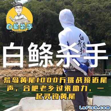 白条杀手 荒岛黄尾1000斤挑战接近尾声，合肥老乡过来助力，一起灵钓黄尾