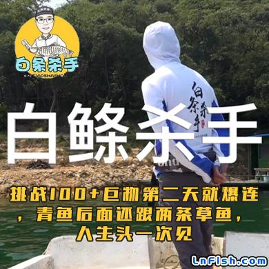 白条杀手 挑战100+巨物第二天就爆连，青鱼后面还跟两条草鱼，人生头一次见