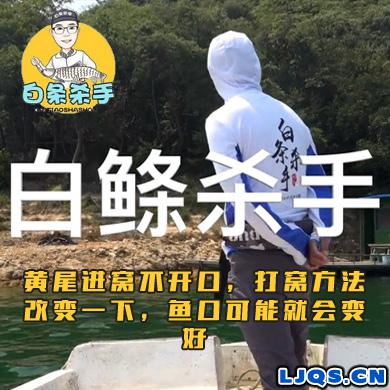 白条杀手 黄尾进窝不开口，打窝方法改变一下，鱼口可能就会变好