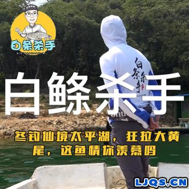 冬钓仙境太平湖，狂拉大黄尾，这鱼情你羡慕吗